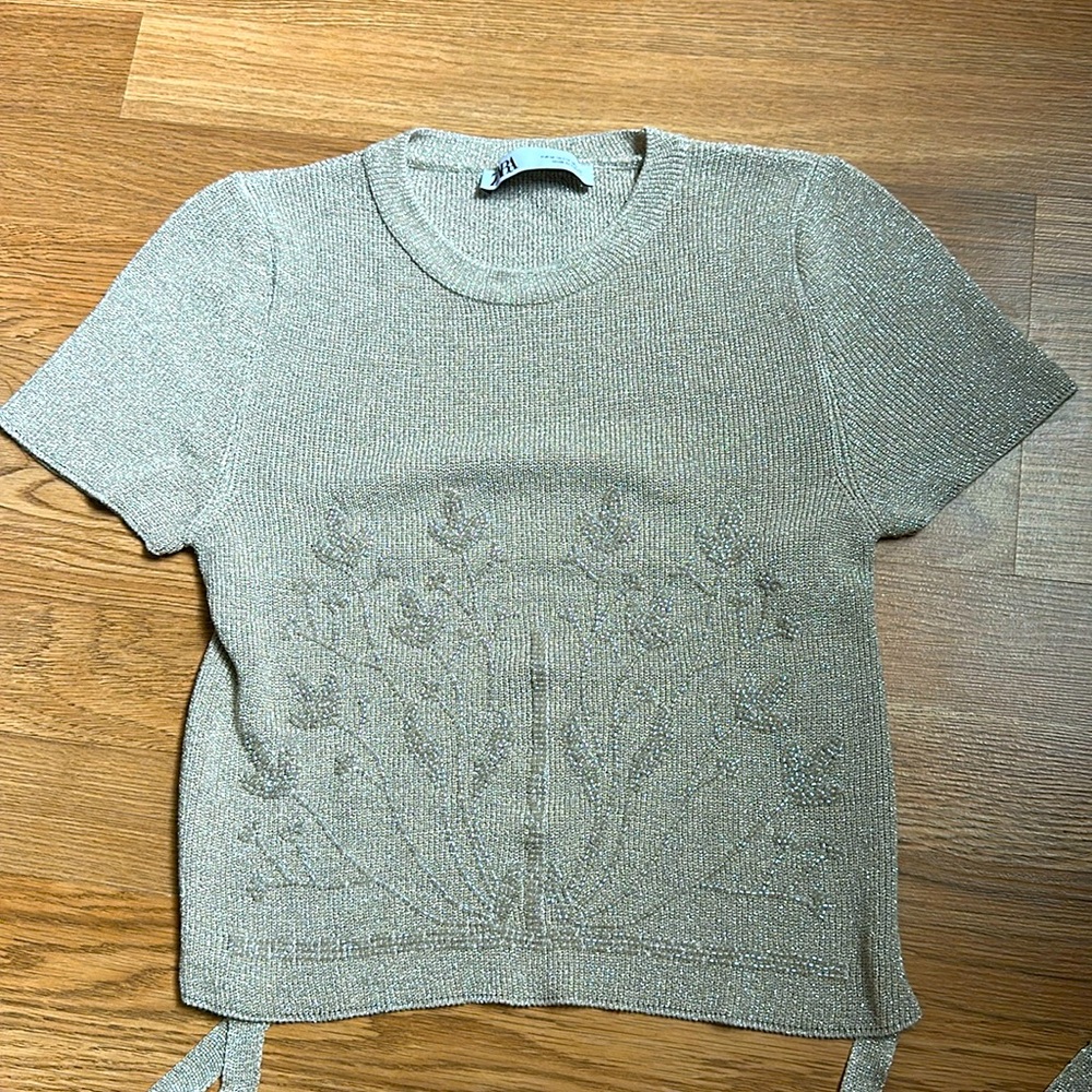 Brand new Zara Sexy 1/2 Open Back Sequin Top